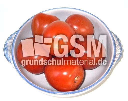 Tomaten-Schale.jpg